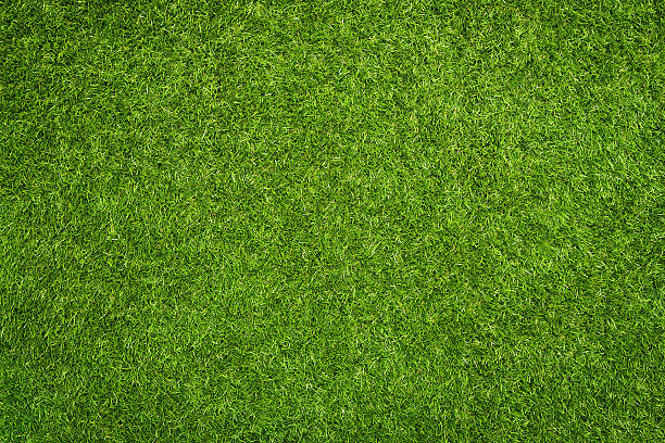 Close up of synthetic green grass texture
